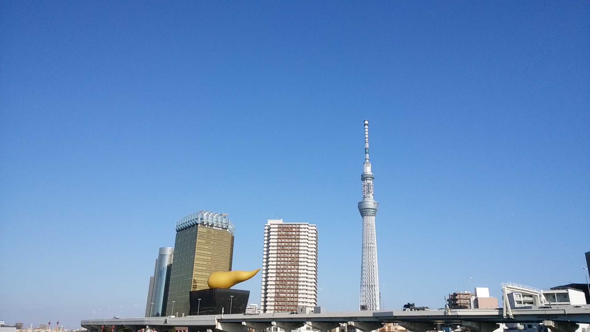 東京旅行最終日は、かっぱ橋とスカイツリーへ行きました