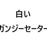 白いガンジーセーター-5【編みもの修学旅行】